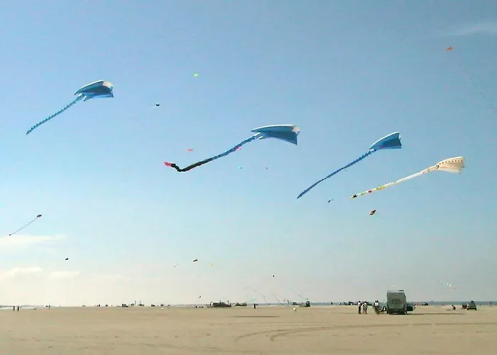 6 Person In Fan By Traum * Фанё