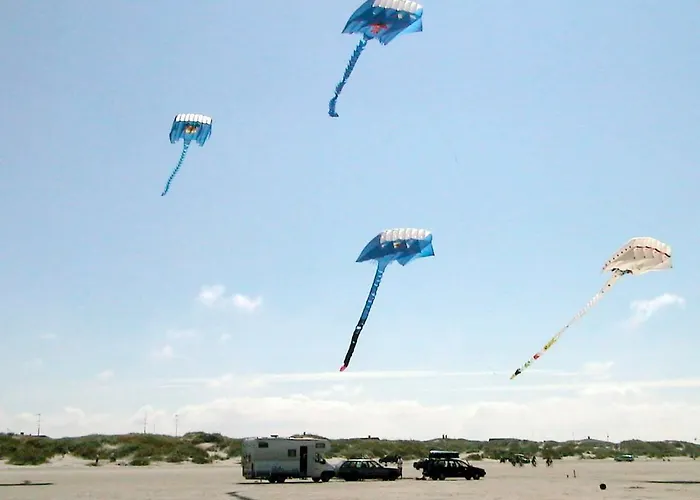 6 Person In Fan By Traum Фанё