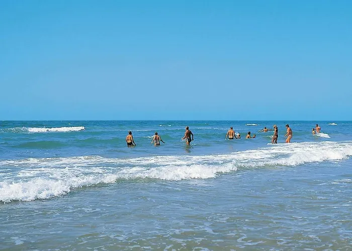 6 Person In Fan By Traum *